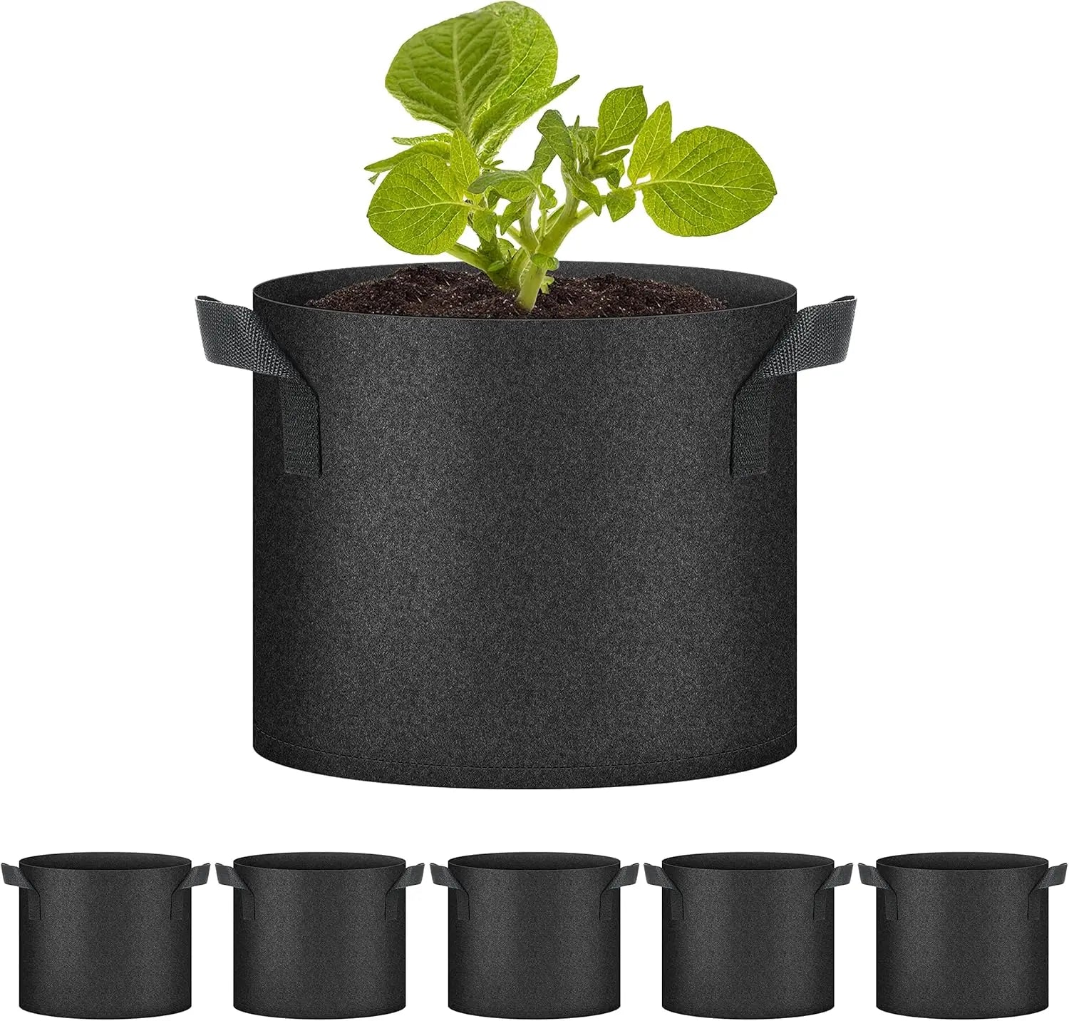 Planters