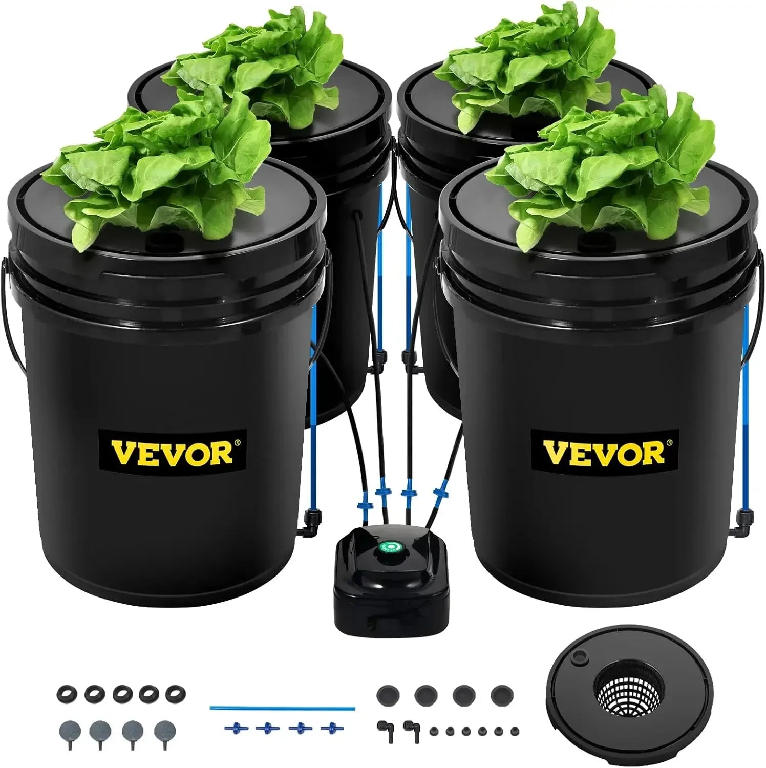 Hydroponic Growth
